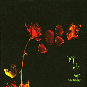 日韩美女深夜福利
